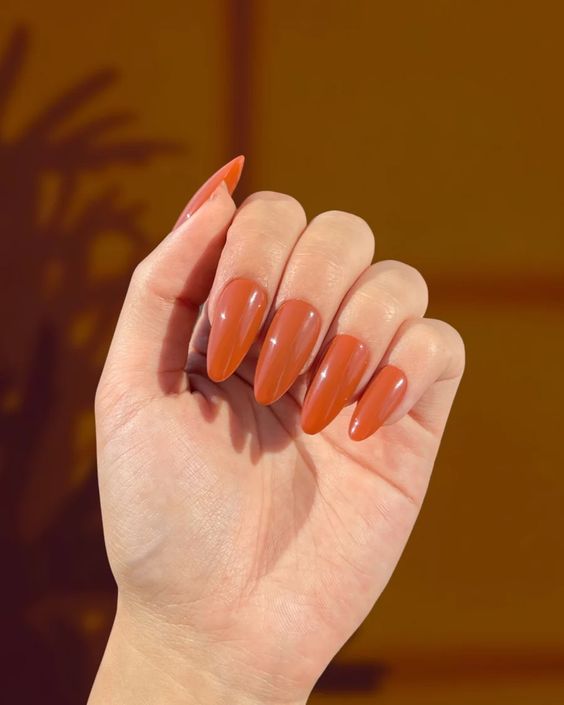 Burnt Caramel Nail Colors