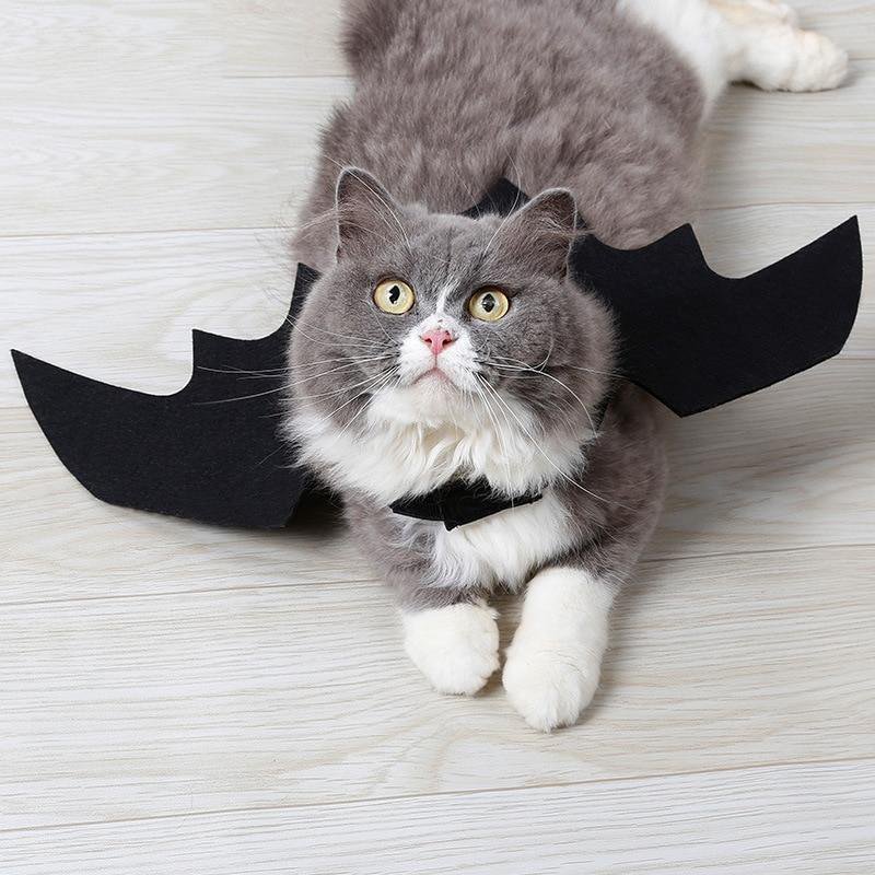 DIY Pet Costumes for Halloween