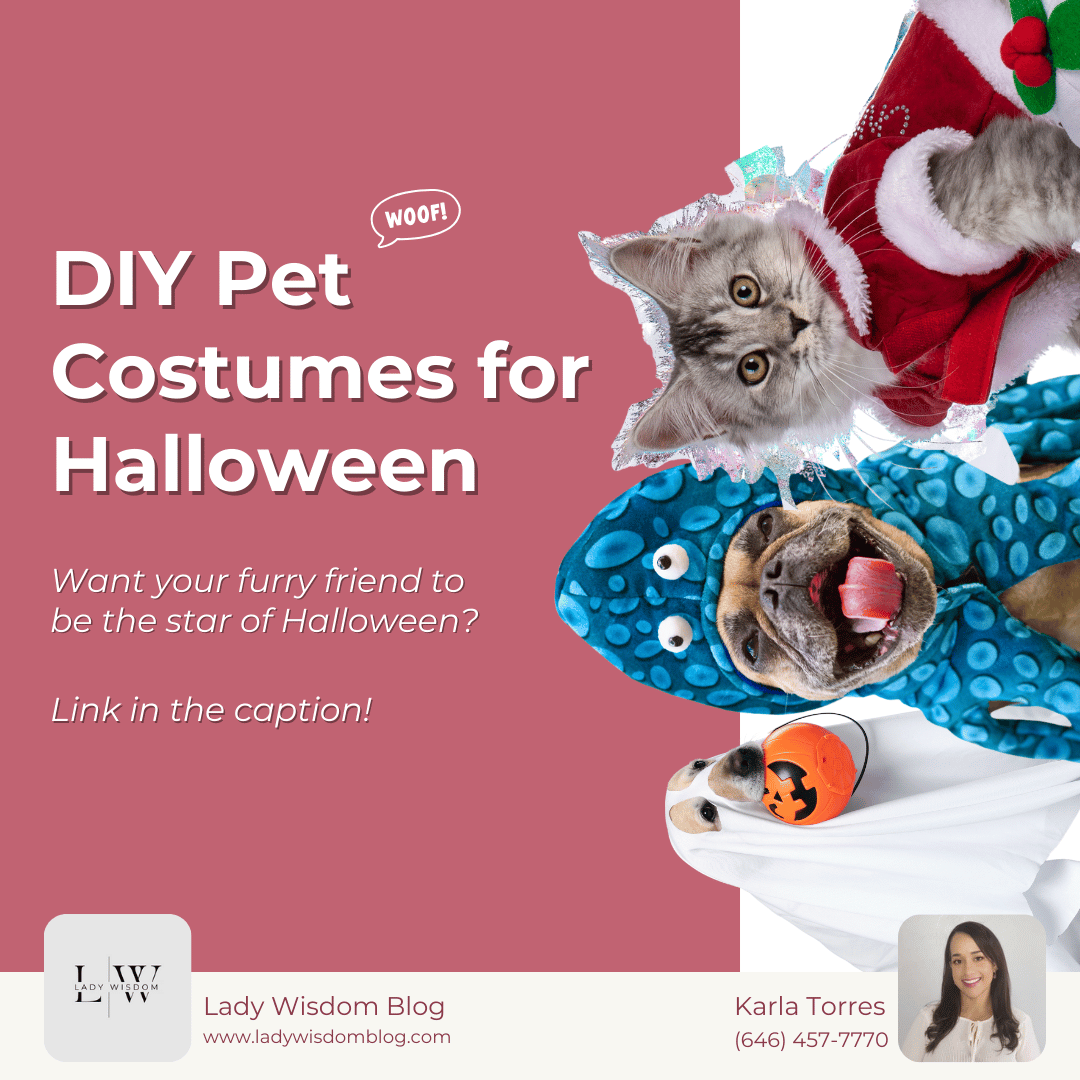 DIY Pet Costumes for Halloween