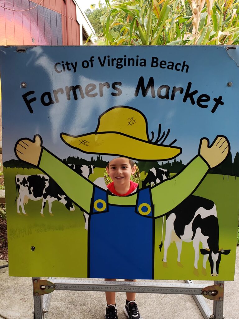 Cheap/Free Summer Idea for Family