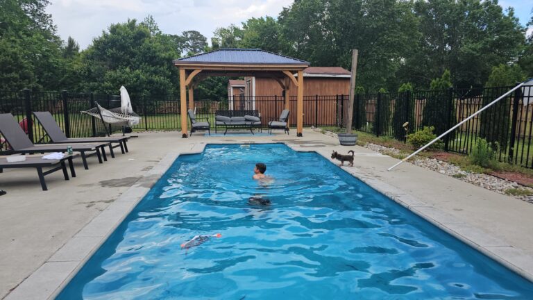 Does Your Pup Know These July Pool Survival Rules?