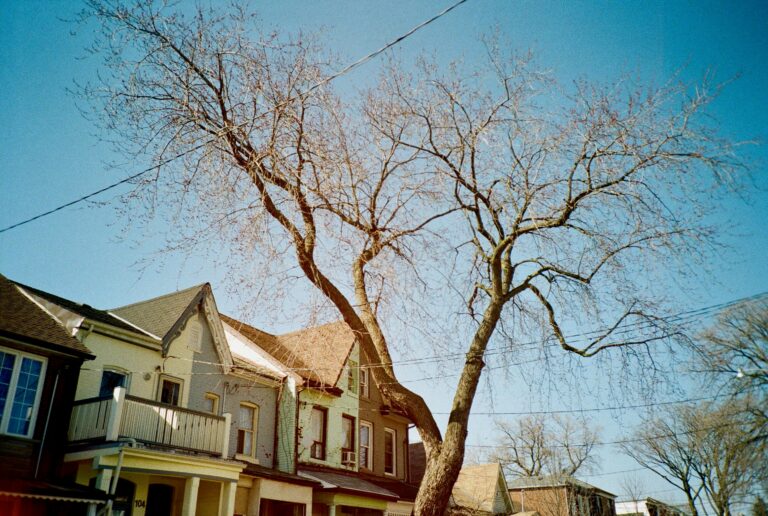 Quaint residential street in Toronto featuring beautiful old homes and leafless trees on a clear day.