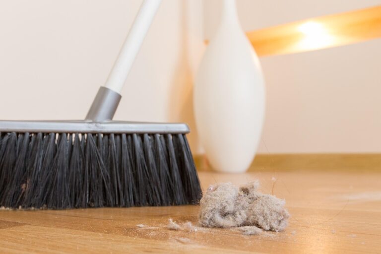 broom, dirt, dust, clump, garbage, house, indoors, interior, working, ball, besom, brooming, chaos, chores, clean, cleaning, domestic, broom, broom, broom, dust, chores, chores, chores, chores, chores, clean